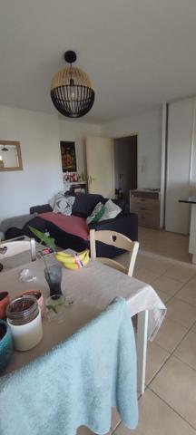 APPARTEMENT T2 43,93M² RDC AVEC JARDIN ISLE SUR LA SORGUE