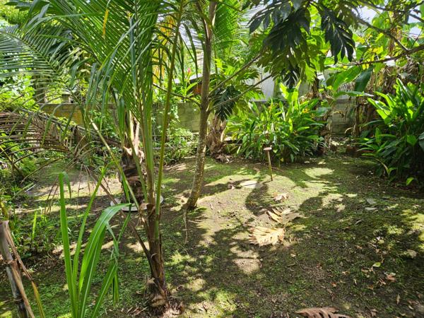 Jolie villa T5 plus combles sur 900 m² de terrain arboré