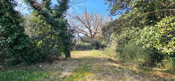 Terrain constructible à Montélimar