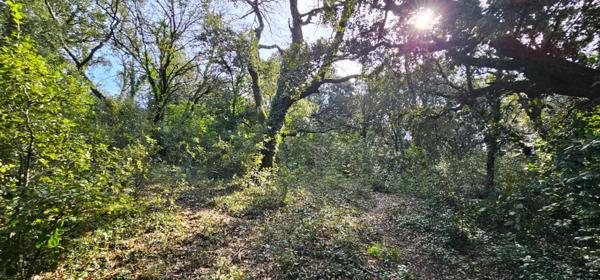 Terrain constructible à Montélimar