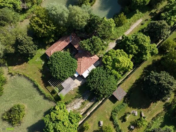 Vente murs / Local Commercial