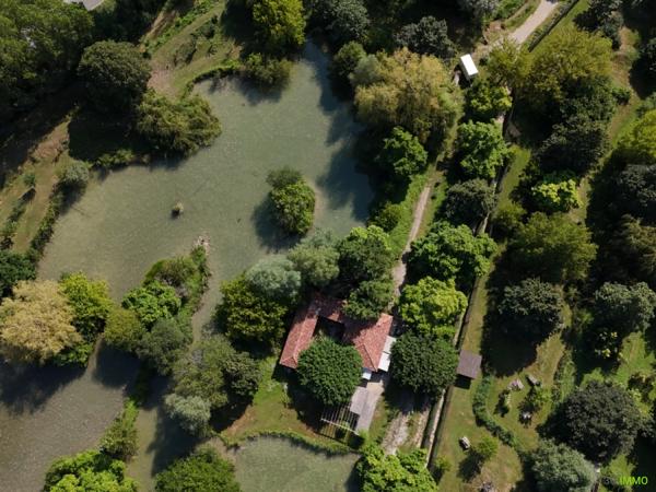 Vente murs / Local Commercial