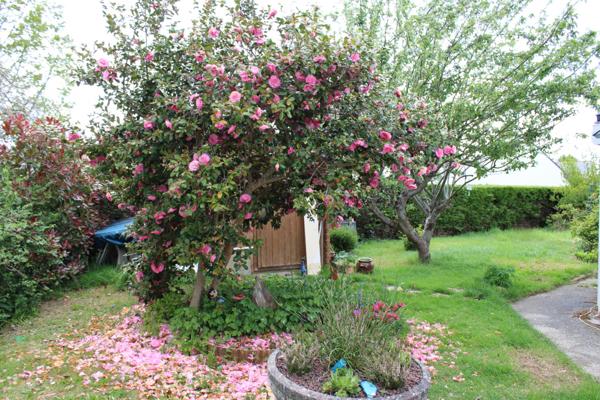 Maison contemporaine avec 5 chambres