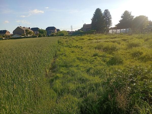 Terrain à bâtir de 1567m2
