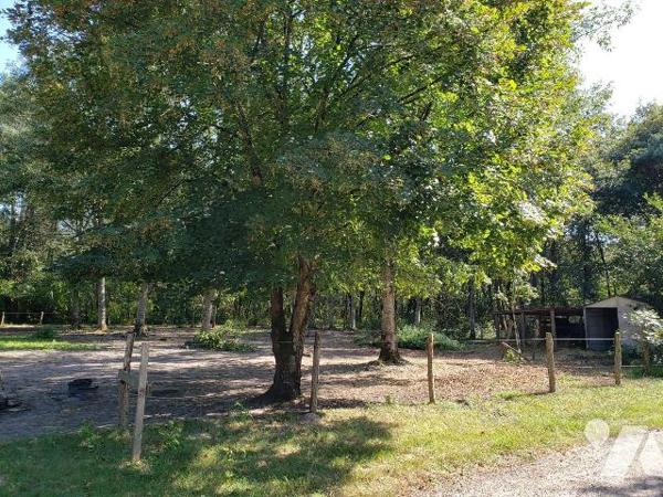 À vendre à Romorantin (41), au c?ur de la Sologne ? située en lisière de forêt, dans la charman...