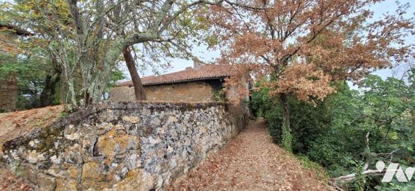 ROQUEBRUNE, Les hauts du village, maison avec terrasse sur 2 niveaux et dépendances