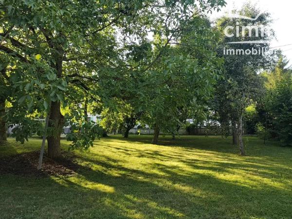 Authentique briarde de caractère rénovée – Jardin paysager de 1 607 m²