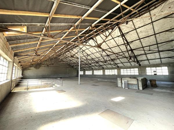 ensemble commercial 2700 m² utiles, centre-ville