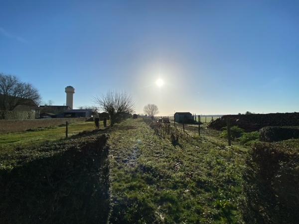 Terrain 620 m2