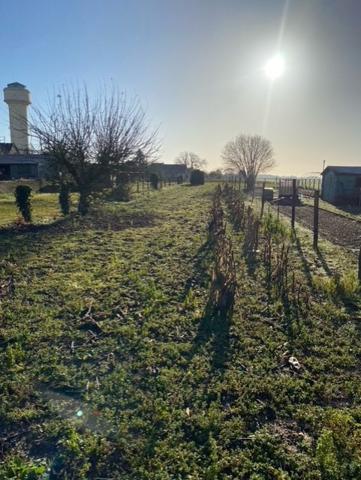 Terrain 620 m2