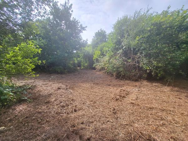 Terrain à vendre  CROZON (29)