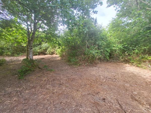 Terrain à vendre  CROZON (29)