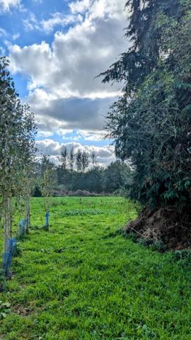 Superbe maison bourgeoise en campagne, 4 chambres et jardin clos.