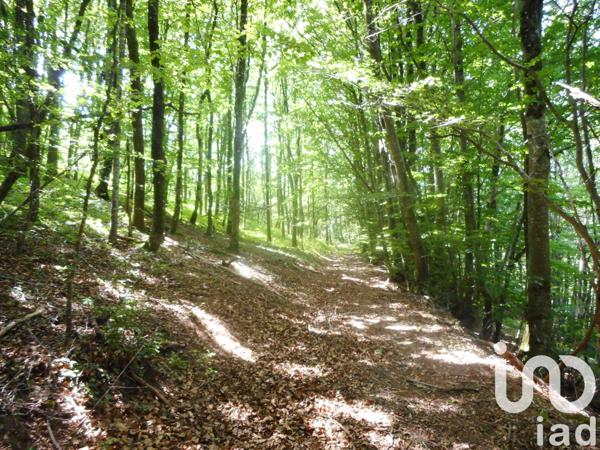 Terrain à vendre 20 445 m² Verreries-de-Moussans