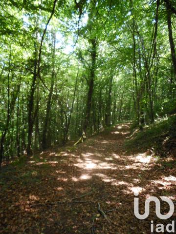 Terrain à vendre 20 445 m² Verreries-de-Moussans