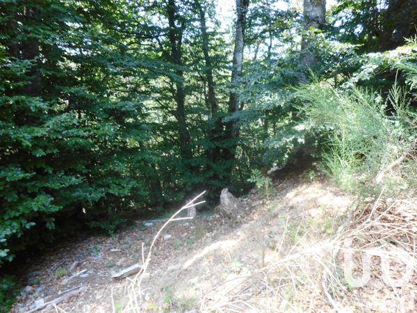 Terrain à vendre 20 445 m² Verreries-de-Moussans