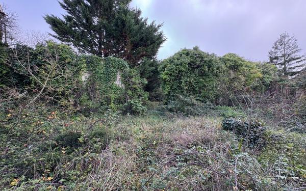 Maison à vendre    8 pièces •  Saint-Pierre-d'Oléron