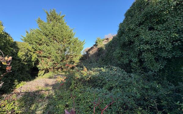 Maison à vendre    8 pièces •  Saint-Pierre-d'Oléron