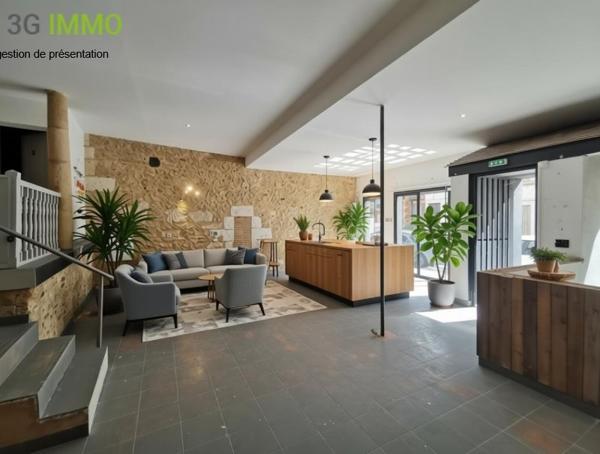Vente / Loft duplex