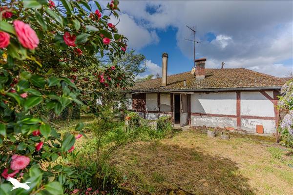 Maison à vendre |  Labouheyre |  8 pièces | 172 m²