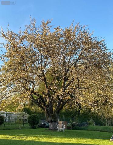 Maison individuelle à vendre à Péronne dans la Somme (80200), ref : MF0175   
Quartier du Cam