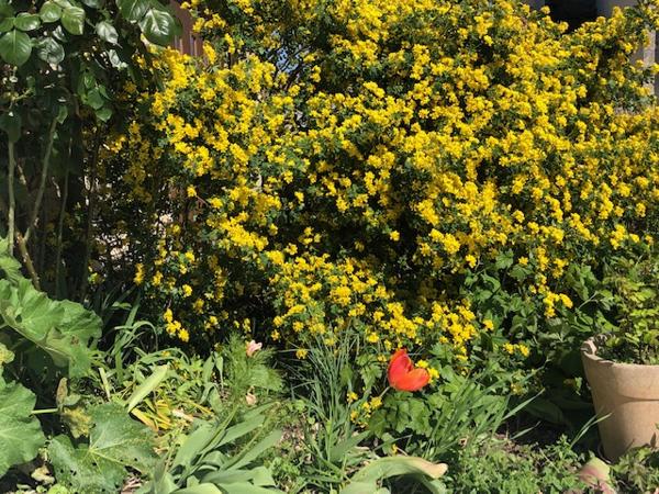 'Bâtisse de style Charentaise'