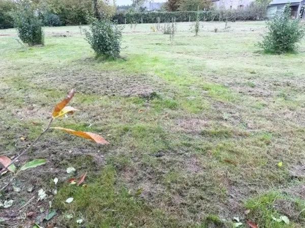 A saisir très belle parcelle