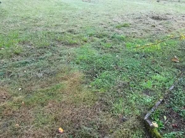 A saisir très belle parcelle