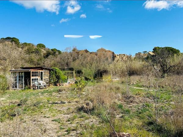 Terrain agricole d'intérêt écologique -Ille Sur Tet