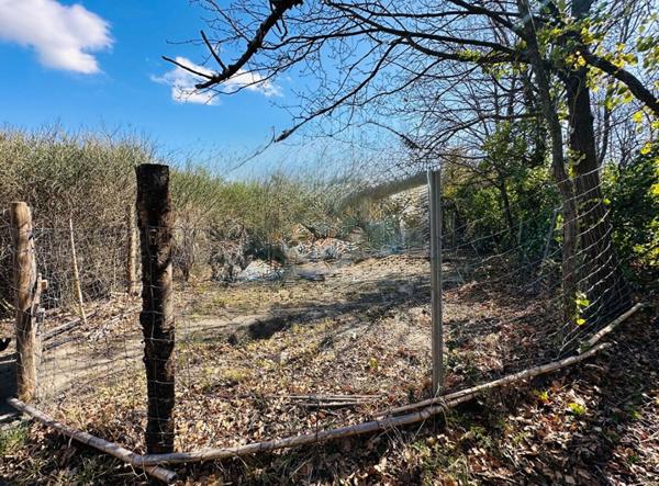 Terrain agricole d'intérêt écologique -Ille Sur Tet