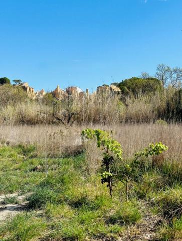 Terrain agricole d'intérêt écologique -Ille Sur Tet