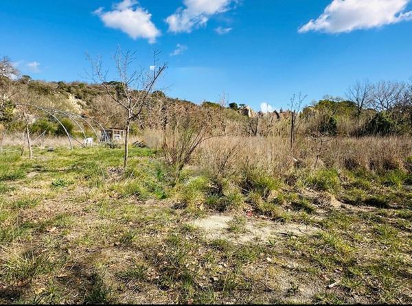 Terrain agricole d'intérêt écologique -Ille Sur Tet