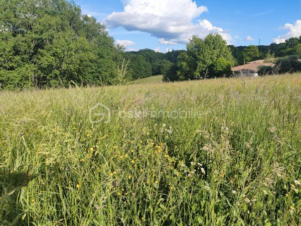 Idéalement situé sur la commune de CHAMPCEVINEL, ce terrain de 4150 m² avec une surface constructible de 1870 m² environ offre de belles perspectives pour un projet de construction.
Environnement verdoyant et quasi rural tout en étant proche des commodités (mairie, groupe scolaire, terrains de sport et commerces).
Arrêt de bus à 150 mètres environ.
Situation idéale pour famille en quête de calme !