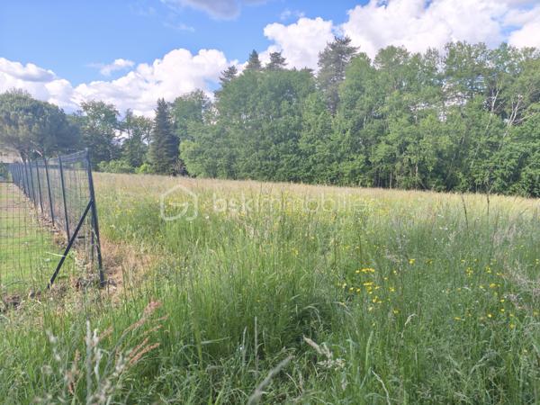 Idéalement situé sur la commune de CHAMPCEVINEL, ce terrain de 4150 m² avec une surface constructible de 1870 m² environ offre de belles perspectives pour un projet de construction.
Environnement verdoyant et quasi rural tout en étant proche des commodités (mairie, groupe scolaire, terrains de sport et commerces).
Arrêt de bus à 150 mètres environ.
Situation idéale pour famille en quête de calme !