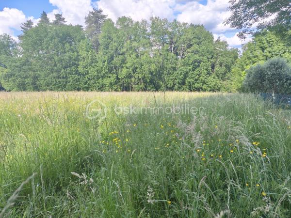Idéalement situé sur la commune de CHAMPCEVINEL, ce terrain de 4150 m² avec une surface constructible de 1870 m² environ offre de belles perspectives pour un projet de construction.
Environnement verdoyant et quasi rural tout en étant proche des commodités (mairie, groupe scolaire, terrains de sport et commerces).
Arrêt de bus à 150 mètres environ.
Situation idéale pour famille en quête de calme !