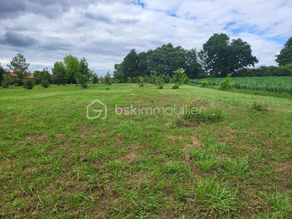 À saisir : magnifique terrain constructible de 2 267 m² avec vue imprenable sur les Pyrénées

Dans le Gers, à seulement 4 km du centre-ville d’Aire-sur-l’Adour et à proximité de Barcelonne-du-Gers, découvrez ce superbe terrain constructible de 2 267 m², situé en position dominante dans un environnement calme et verdoyant.
Son véritable atout : un panorama exceptionnel face à la chaîne des Pyrénées, offrant un cadre de vie rare où nature, sérénité et grands espaces se conjuguent au quotidien. À proximité d’un agréable point d’eau, ce lieu séduira les amoureux d’authenticité et de plein air.

À seulement 5 minutes de toutes les commodités d’une ville dynamique disposant de l’ensemble des services essentiels (écoles, collège, lycée, polyclinique, commerces…), ce terrain est idéal pour donner vie à votre projet de construction, avec libre choix du constructeur.
Le terrain est viabilisé en bordure de route (eau et électricité) et bénéficie d’une étude de sol déjà réalisée, vous permettant d’envisager sereinement votre future habitation.
Il est également possible d’acquérir la parcelle adjacente de 3 138 m², bénéficiant de la même viabilisation, ou de créer un second lot constructible après viabilisation. Le prix pourra être ajusté selon la configuration retenue et votre projet.

Un emplacement privilégié permettant de profiter aussi bien des plaisirs de la montagne que du littoral, tous deux accessibles en seulement 1 h 15.
Un bien rare, alliant qualité de vie, proximité des services 

Contactez Frédéric CLEDES BSK Immobilier pour vous organiser une visite.