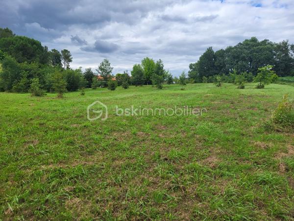 À saisir : magnifique terrain constructible de 2 267 m² avec vue imprenable sur les Pyrénées

Dans le Gers, à seulement 4 km du centre-ville d’Aire-sur-l’Adour et à proximité de Barcelonne-du-Gers, découvrez ce superbe terrain constructible de 2 267 m², situé en position dominante dans un environnement calme et verdoyant.
Son véritable atout : un panorama exceptionnel face à la chaîne des Pyrénées, offrant un cadre de vie rare où nature, sérénité et grands espaces se conjuguent au quotidien. À proximité d’un agréable point d’eau, ce lieu séduira les amoureux d’authenticité et de plein air.

À seulement 5 minutes de toutes les commodités d’une ville dynamique disposant de l’ensemble des services essentiels (écoles, collège, lycée, polyclinique, commerces…), ce terrain est idéal pour donner vie à votre projet de construction, avec libre choix du constructeur.
Le terrain est viabilisé en bordure de route (eau et électricité) et bénéficie d’une étude de sol déjà réalisée, vous permettant d’envisager sereinement votre future habitation.
Il est également possible d’acquérir la parcelle adjacente de 3 138 m², bénéficiant de la même viabilisation, ou de créer un second lot constructible après viabilisation. Le prix pourra être ajusté selon la configuration retenue et votre projet.

Un emplacement privilégié permettant de profiter aussi bien des plaisirs de la montagne que du littoral, tous deux accessibles en seulement 1 h 15.
Un bien rare, alliant qualité de vie, proximité des services 

Contactez Frédéric CLEDES BSK Immobilier pour vous organiser une visite.