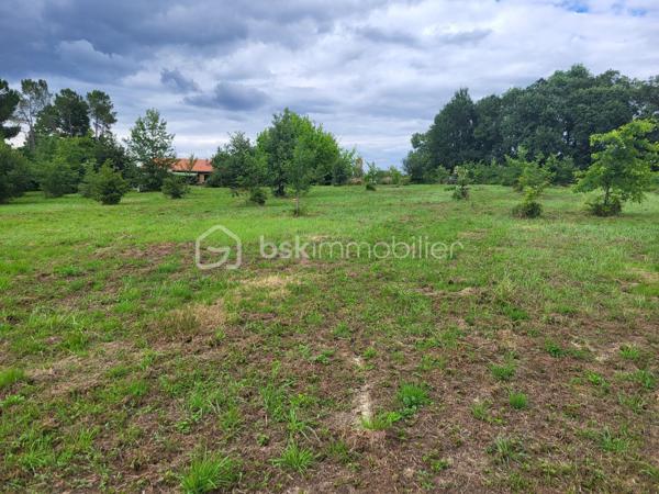 À saisir : magnifique terrain constructible de 2 267 m² avec vue imprenable sur les Pyrénées

Dans le Gers, à seulement 4 km du centre-ville d’Aire-sur-l’Adour et à proximité de Barcelonne-du-Gers, découvrez ce superbe terrain constructible de 2 267 m², situé en position dominante dans un environnement calme et verdoyant.
Son véritable atout : un panorama exceptionnel face à la chaîne des Pyrénées, offrant un cadre de vie rare où nature, sérénité et grands espaces se conjuguent au quotidien. À proximité d’un agréable point d’eau, ce lieu séduira les amoureux d’authenticité et de plein air.

À seulement 5 minutes de toutes les commodités d’une ville dynamique disposant de l’ensemble des services essentiels (écoles, collège, lycée, polyclinique, commerces…), ce terrain est idéal pour donner vie à votre projet de construction, avec libre choix du constructeur.
Le terrain est viabilisé en bordure de route (eau et électricité) et bénéficie d’une étude de sol déjà réalisée, vous permettant d’envisager sereinement votre future habitation.
Il est également possible d’acquérir la parcelle adjacente de 3 138 m², bénéficiant de la même viabilisation, ou de créer un second lot constructible après viabilisation. Le prix pourra être ajusté selon la configuration retenue et votre projet.

Un emplacement privilégié permettant de profiter aussi bien des plaisirs de la montagne que du littoral, tous deux accessibles en seulement 1 h 15.
Un bien rare, alliant qualité de vie, proximité des services 

Contactez Frédéric CLEDES BSK Immobilier pour vous organiser une visite.