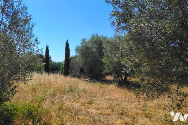Terrain agricole à 5 minutes d'Uzès