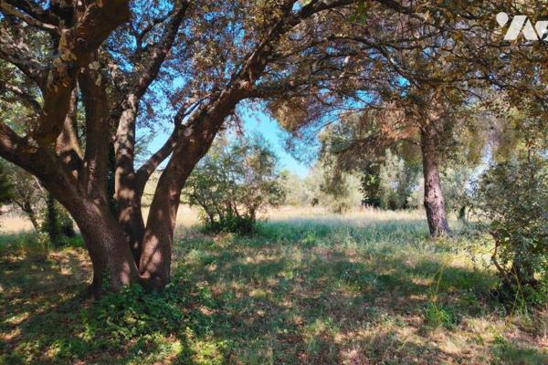 Terrain agricole à 5 minutes d'Uzès