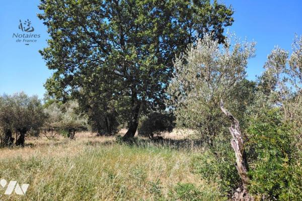 Terrain agricole à 5 minutes d'Uzès