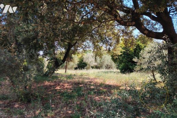 Terrain agricole à 5 minutes d'Uzès