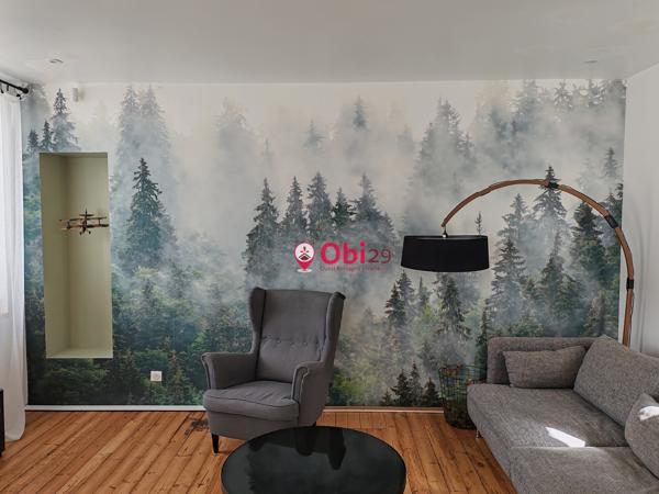 Maison - à louer - 29150 Châteaulin 1 000 € - GestionObi29-ref202