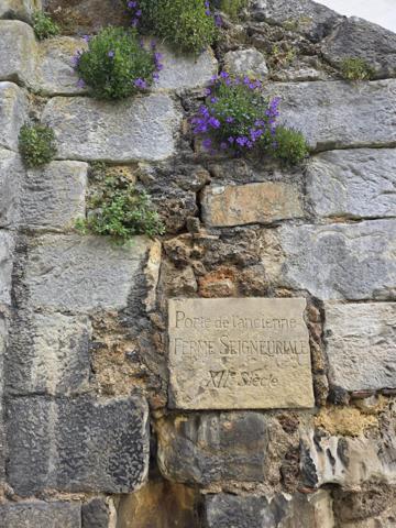 Maison de Ville 4 pièces 72 m² + Dépendance