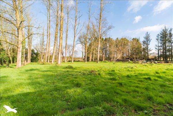 Maison à vendre |  Prat |  4 pièces | 146 m²