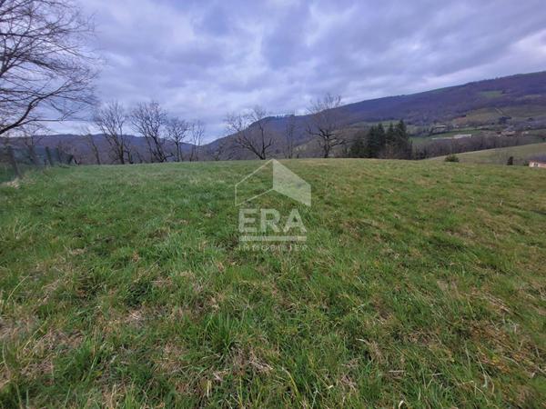 **À vendre : Terrain constructible à Conques-en-Rouergue !**