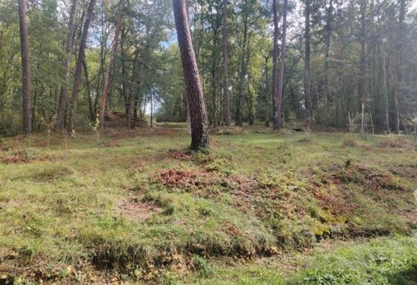 Maison à vendre 170 000 € Le Bugue 7 p 88 m² DPE B