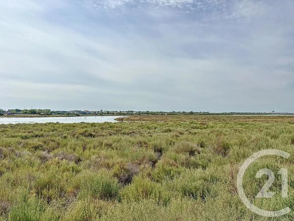 Maison à vendre  5 pièces - 170 m 2   PALAVAS LES FLOTS  - 34