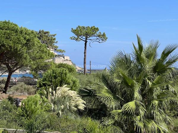 Vente                                                      Appartement
                        
                     4 pièces                      110 m2                     à Calvi
