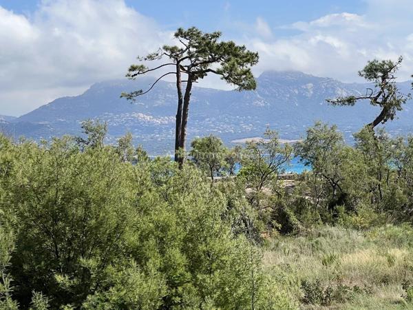 Vente                                                      Appartement
                        
                     4 pièces                      110 m2                     à Calvi